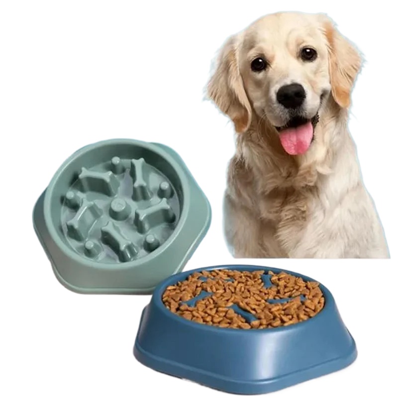 Royal Canin Food Medium - Cuenco para perros con alimentación lenta,
